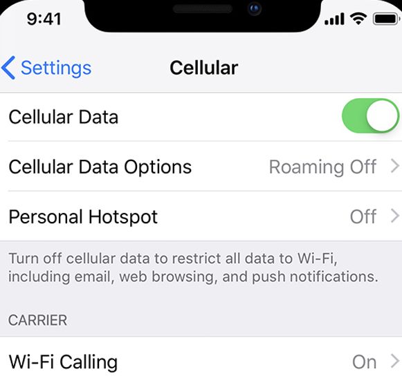 data usage settings